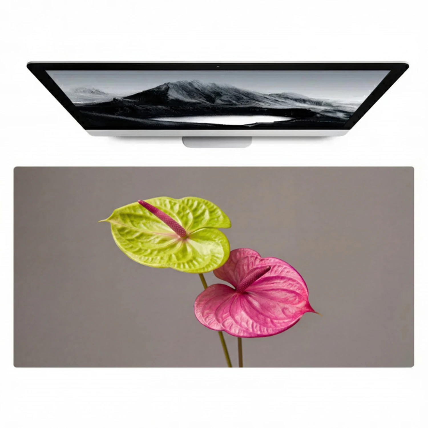 Planten - Anthurium - Groen - Roze Muismat XXL klein -zzz3d