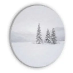 Fijnsparren - Sneeuw - Winter - Landschap - Stilte Akoestische PET Vilt - Rond klein -3d
