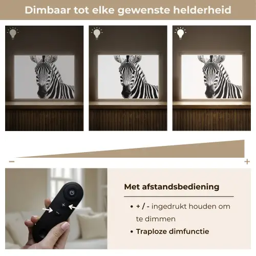 Zebra - Close-up - Zwart - Strepen Light Box met batterij (Wandlamp) middel -USP_dimbaarNL