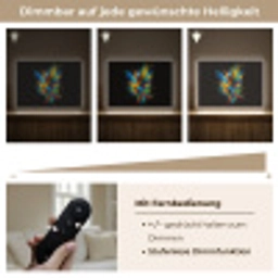 Papegaai - Vogel - Dier - Kleurrijk - Verf Light Box met batterij (Wandlamp) middel -USP_dimbaarDE