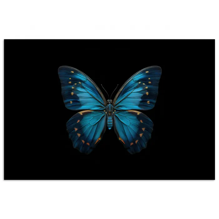 Vlinder - Blauw - Contrast poster papier klein -3d