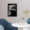 Adelaar - Portret - Roofvogels - Zwart - Wit - Vogel fotolijst zwart zonder passe partout klein -sfeer4