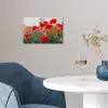 Klaproos - Bloemen - Rood - Paars - Weide poster papier klein -sfeer3