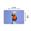 Papegaai - Koksmuts - Vogel - Leuk Placemat vinyl groot -specs
