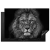 Leeuw - Dieren - Zwart - Wit Inductie beschermer vinyl 3mm klein -3d