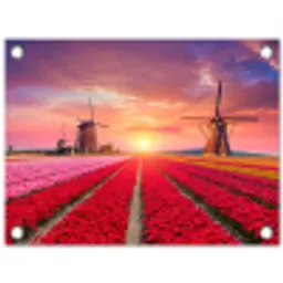 Tulpenvelden met windmolens bij zonsondergang tuinposter los doek klein -3d