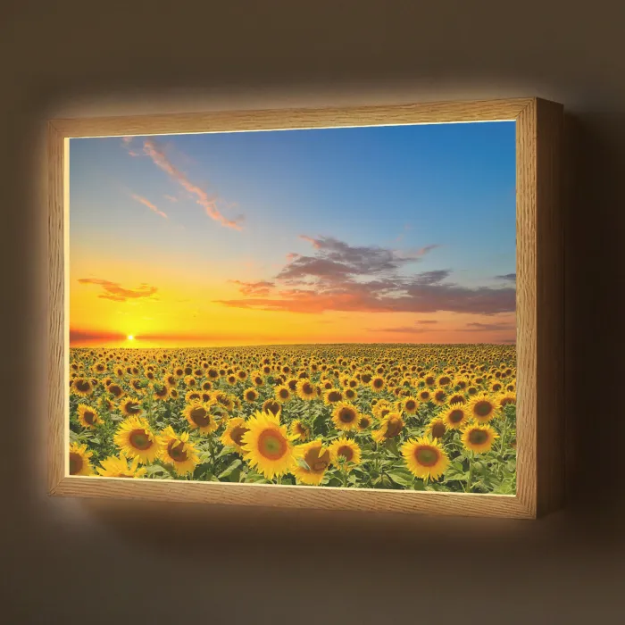 Bloemen - Zonnebloem - Zonsondergang - Nacht - Oranje Light Box met batterij (Wandlamp) middel -z3d_website