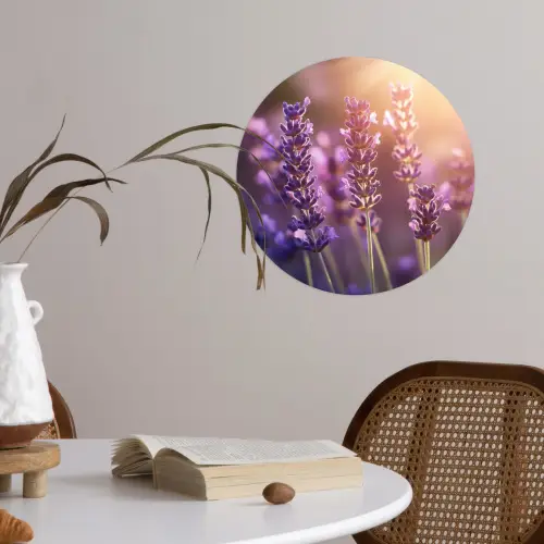 Lavendelbloemen - Paars - Zonlicht Wandcirkel behangsticker klein -sfeer3