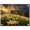 Bloemenveld - Heuvels - Zonsondergang - Berg - Natuur - Wit - Heuvels tuinposter los doek klein -3d