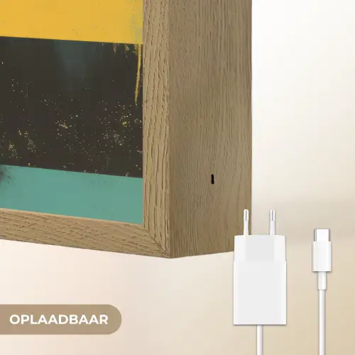 Vrouw - Kleurvlakken - Klassieke schilderkunst Light Box met batterij (Wandlamp) middel -USP_websiteoplaadbaarNL