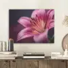 Roze - lelie - Dauwdruppels PET vilt klein -sfeer1