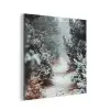 Bos - Winter - Bomen - Natuur - Pad - Sneeuw aluminium wit klein -3d