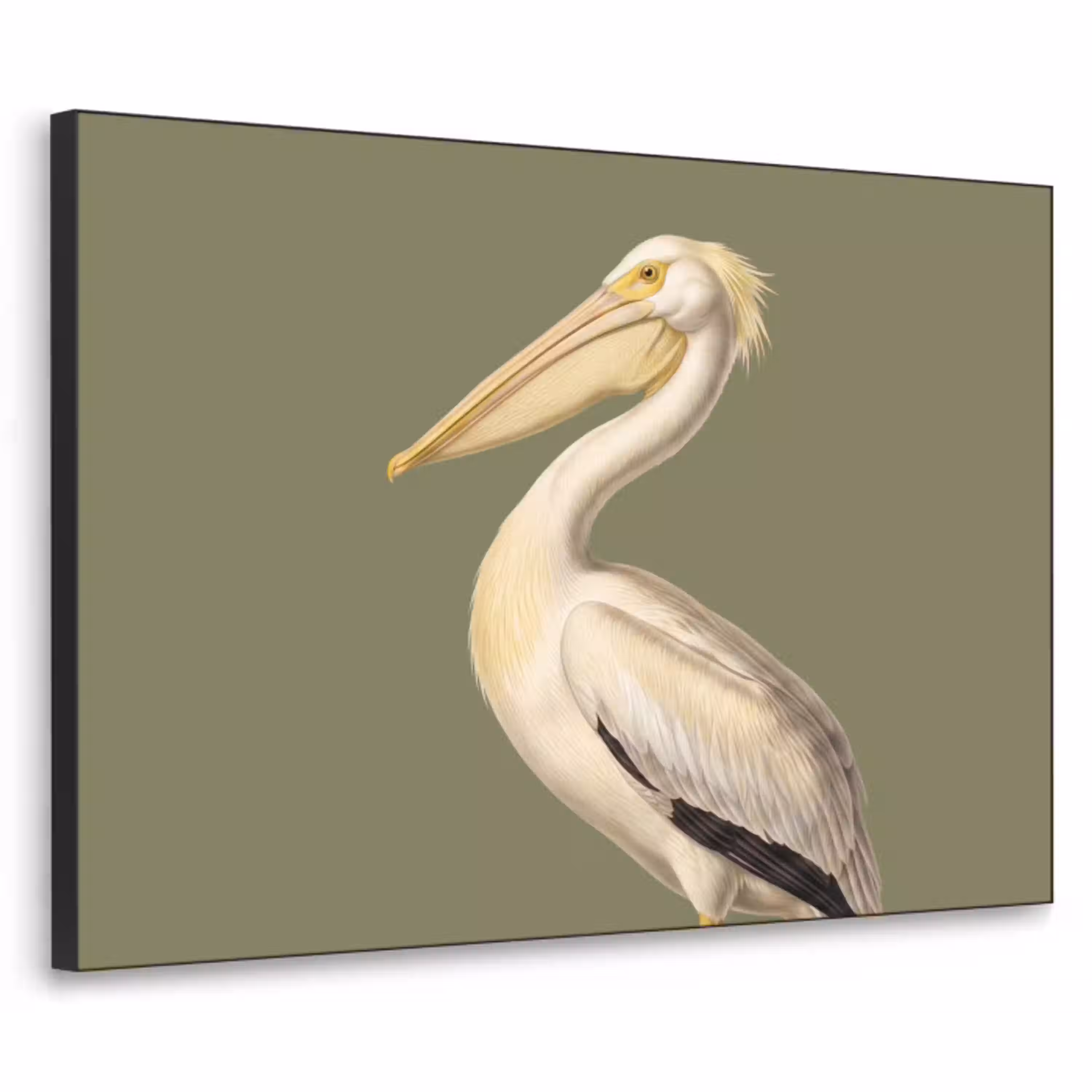Pelikaan - Wit - Vogel - Klassiek - Natuur Textielframe zwart klein -3d