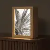 Palmboom - Tropisch - Zwart - Wit Light Box met kabel (Tafellamp) klein -z3d_website