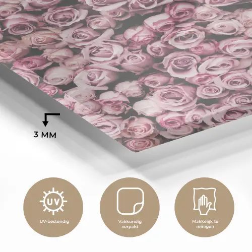 Bloemen - Rozen - Natuur - Roze - Botanisch plexiglas 5mm klein -sfeer2