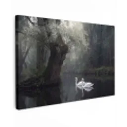 Zwanen - Rivier - Bos canvas 2cm klein -z3d