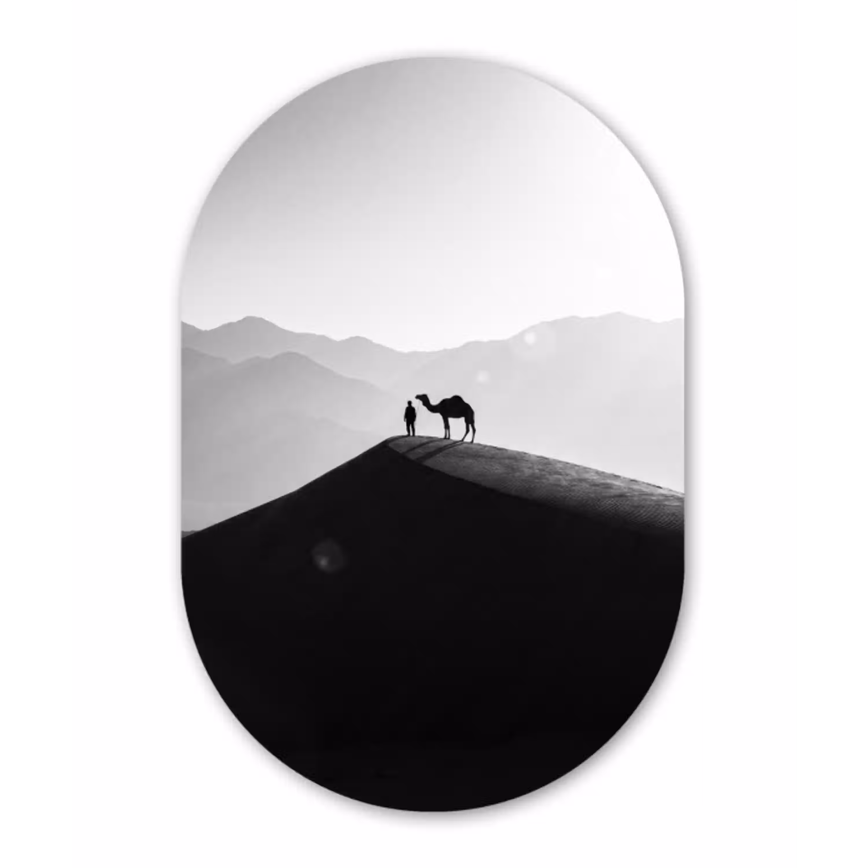 Mens - Kameel - Zandduin - Natuur - Monochroom Wandcirkel Ovaal Aluminium middel -3d