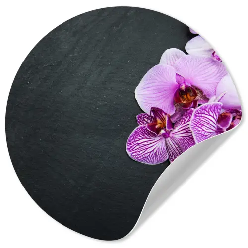 Orchidee - Bloemen - Roze - Flora Wandcirkel behangsticker klein -3d