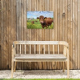 Koe - Weide - Bloemen Tuinposter op houten frame 2 cm dik klein -sfeer4