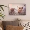 Schotse hooglanders - Licht - Lucht - Natuur canvas 2cm klein -sfeer1