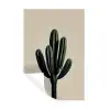 Cactus - Subtiel - Groen Muursticker klein -3d