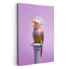 Papegaai - Koksmuts - Pilaar - Vogel KitchenYeah - Keuken - Canvas klein -3d