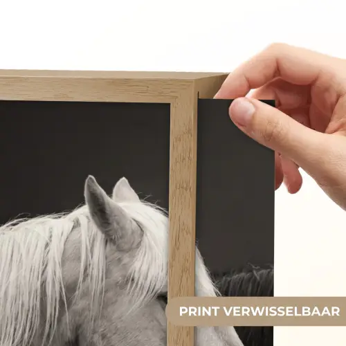 Paarden - Zwart - Wit - Kudde Light Box met batterij (Wandlamp) middel -USP_websiteprintNL