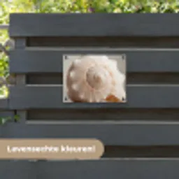 Schelp - Detail - Beige tuinposter los doek klein -sfeer3