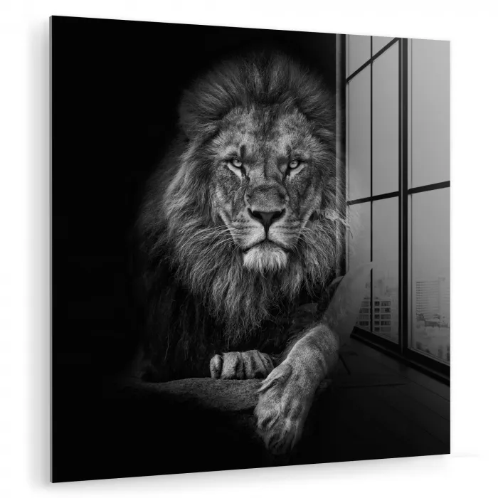 Leeuw - Dieren - Zwart - Wit plexiglas 5mm klein -zzzproduct_nieuw