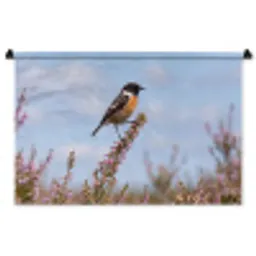 Roodborsttapuit - Heide - Paars - Natuur - Sfeervol Wandkleed katoen middel -zz3d