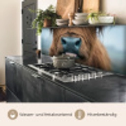 Schotse hooglander - Neus - Bruin keuken achterwand 2 middel -usp_DE