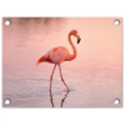 Flamingo - Water - Roze tuinposter los doek klein -3d