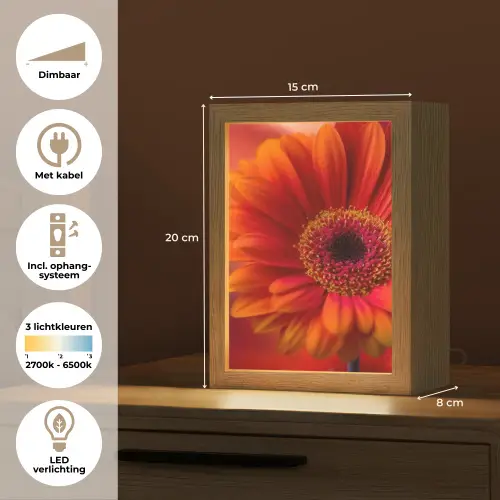 Oranje - Gerbera - Intens Light Box met kabel (Tafellamp) klein -USP_NL