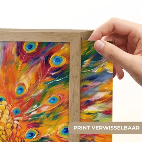 Pauw - Dieren - Schilderij - Regenboog Light Box met batterij (Wandlamp) middel -USP_websiteprintNL
