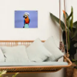 Papegaai - Koksmuts - Vogel - Leuk tuinposter los doek klein -sfeer7
