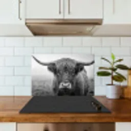 Schotse hooglander - Zwart - Wit - Gras keuken achterwand spatscherm klein -sfeer2