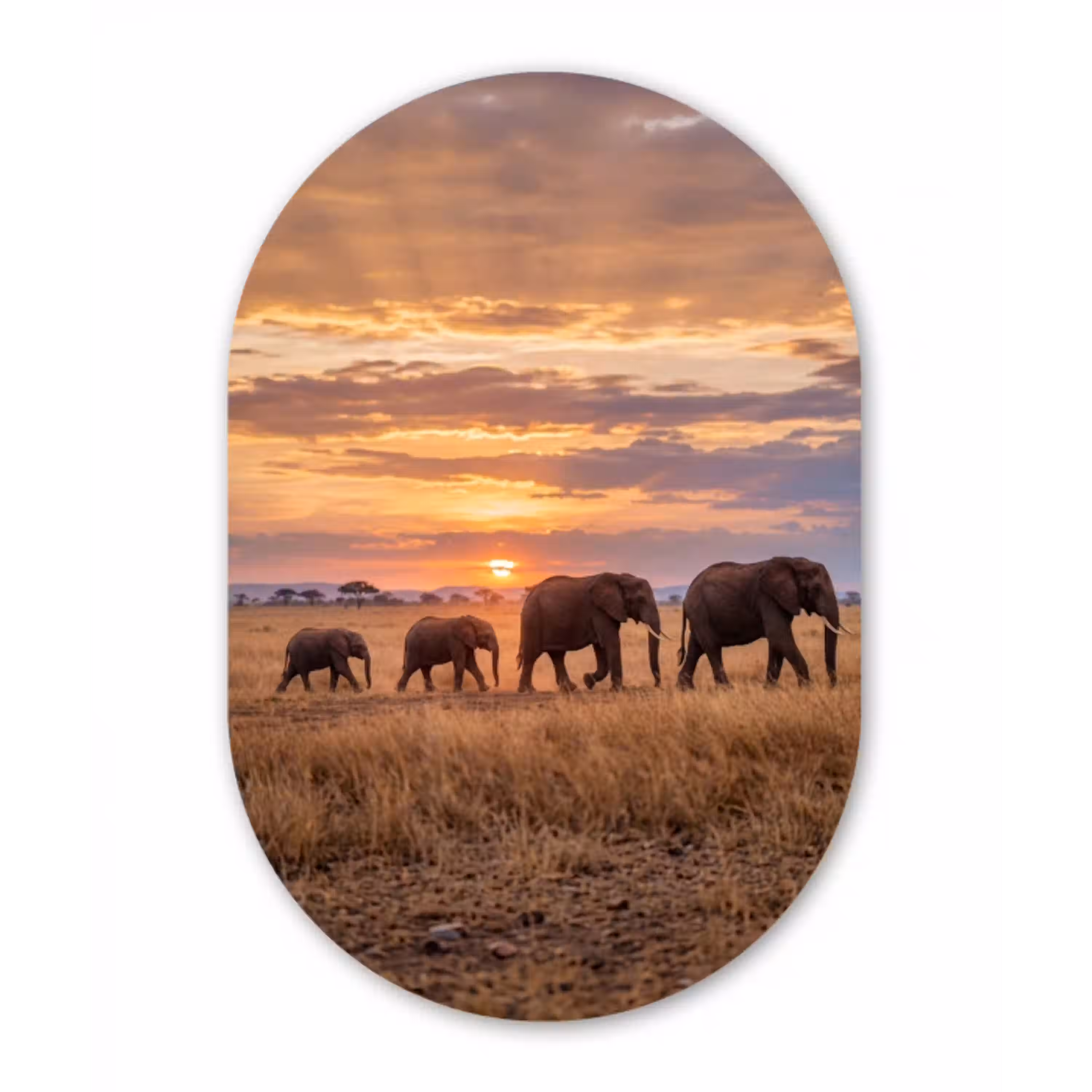 Olifanten - Savanne - Zonsondergang - Afrika - Warm Wandcirkel Ovaal Aluminium middel -3d