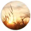 Riet - Gras - Zonsondergang - Natuur - Horizon Wandcirkel kunststof plaat 5mm dik klein -3d