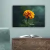 Bloemblaadjes - Afrikaan - Oranje - Wazig canvas 2cm klein -sfeer4