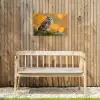 Bosuil op Mosbegroeide Tak Tuinposter op houten frame 2 cm dik klein -sfeer4