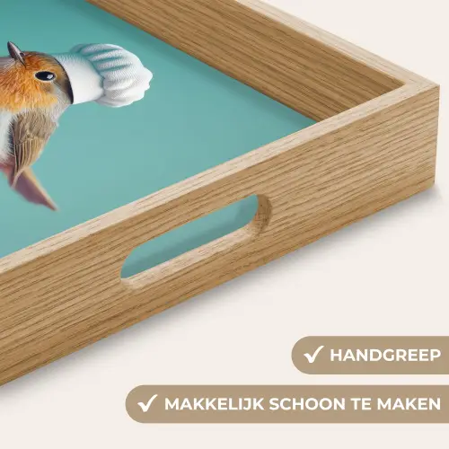 Roodborstje - Vogel - Koksmuts - Sokkel Dienblad Rechthoek middel -USP_HandgreepNL