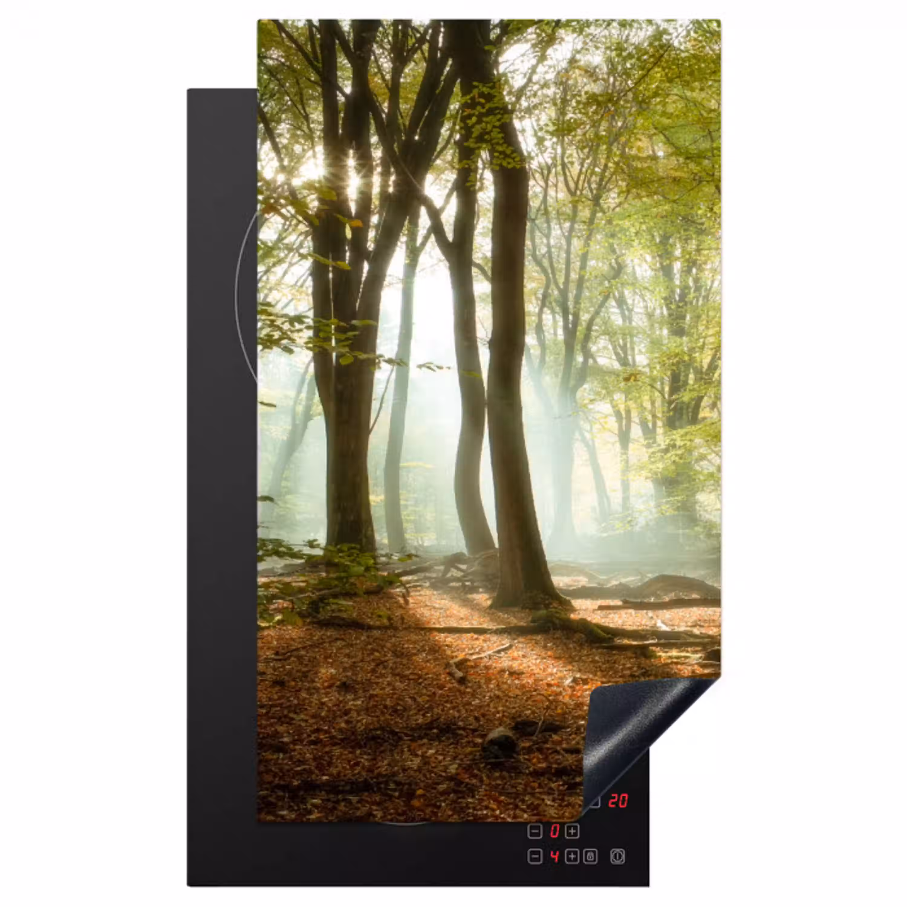 Bos - Zon - Seizoenen - Landschap Inductie beschermer vinyl 3mm middel -3d