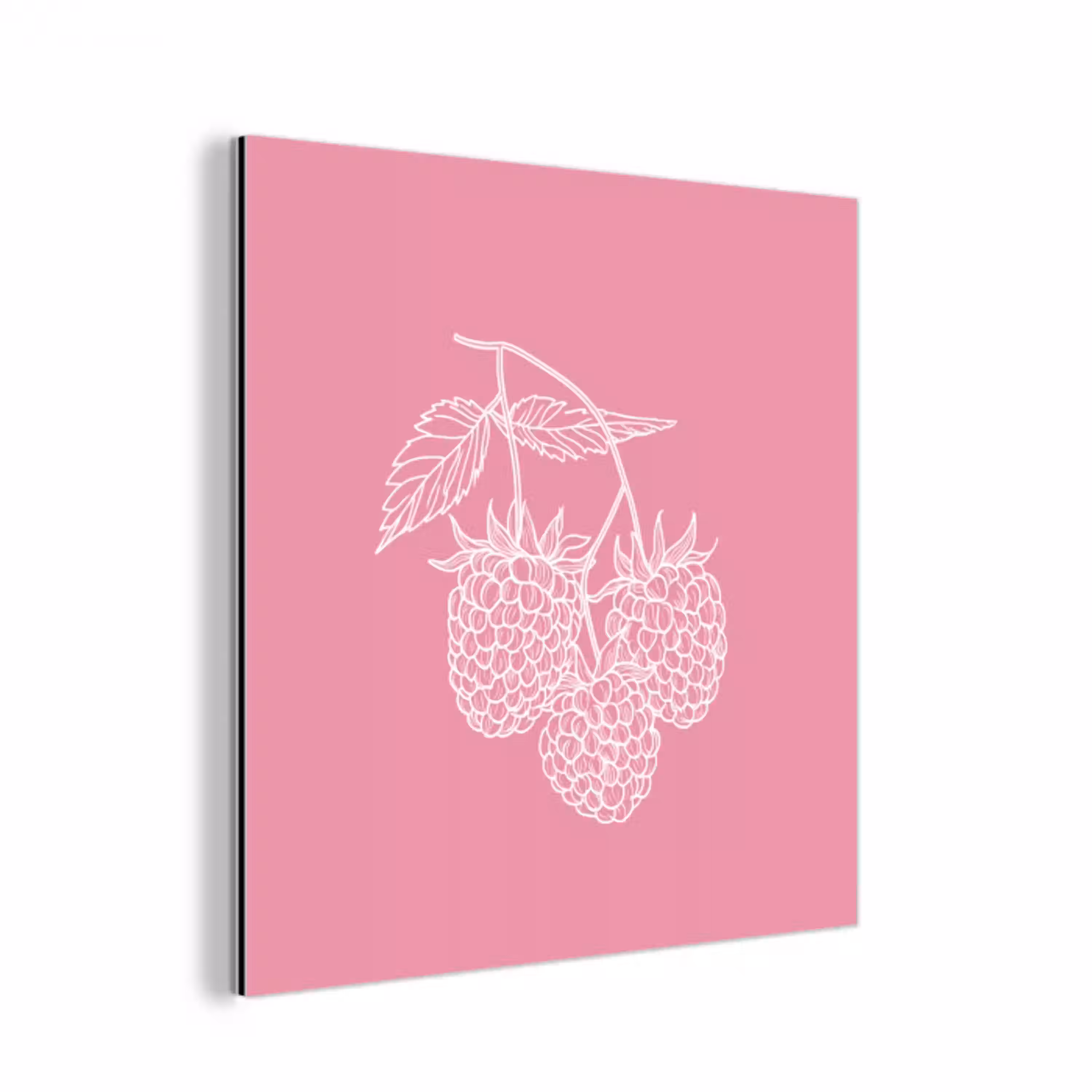 Frambozen - Steel - Getekend - Roze aluminium wit klein -3d