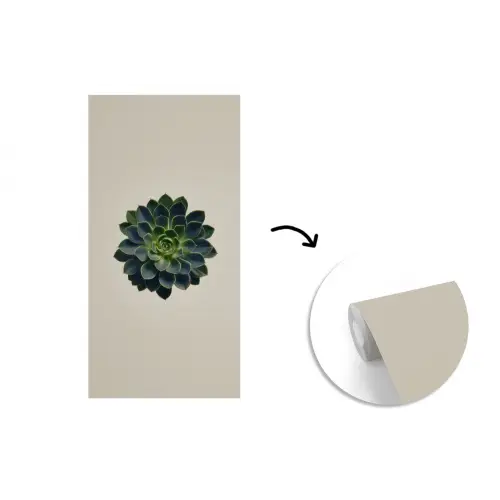 Rozet - Cirkelvormig - Donkergroen fotobehang vinyl groot -3d
