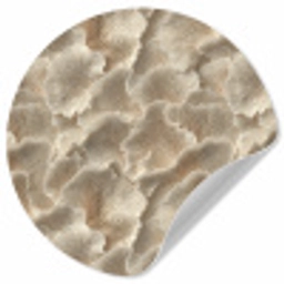 Waaierstructuren - Beige - Vezeltextuur Wandcirkel behangsticker klein 186 -3d