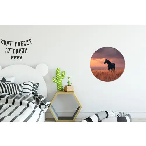 Paard - Wolken - Open veld Wandcirkel aluminium klein -kinderkamer