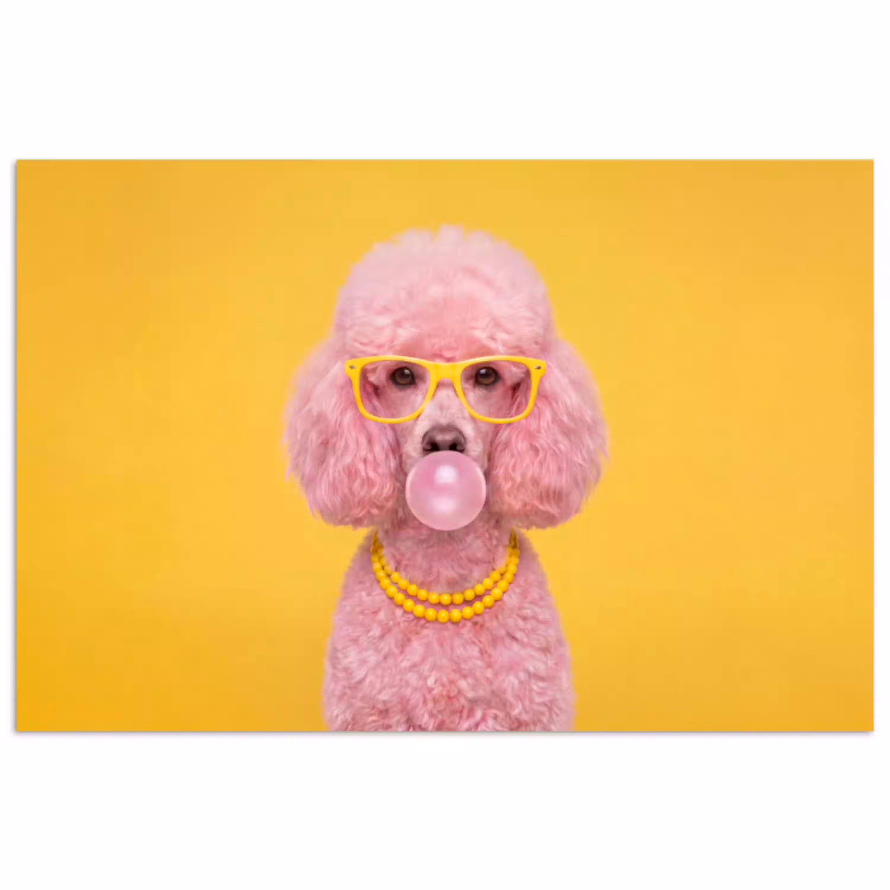 Hond - Kauwgum - Dieren - Modern - Roze poster papier klein -3d