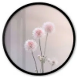 Bloemen - Bollen - Roze Fotolijst rond zonder passe partout klein -3d