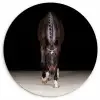 Paard - Modern - Portret Wandcirkel kunststof plaat 5mm dik klein -3d