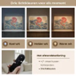 Koi - Zee - Golven - Zon Light Box met batterij (Wandlamp) middel -USP_lichtkleurNL